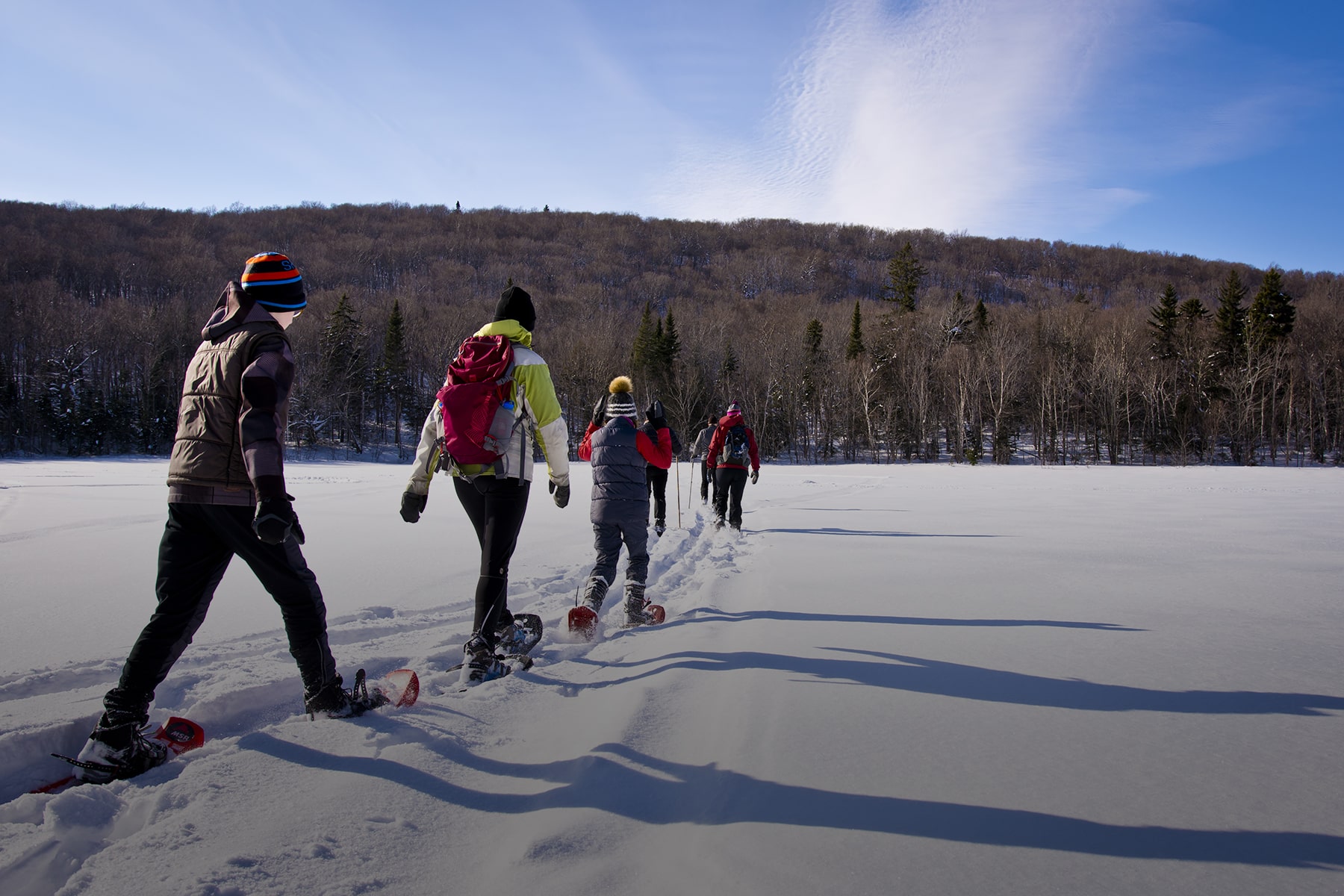 Groupe de randonneurs en raquette dans un champ l'hiver.