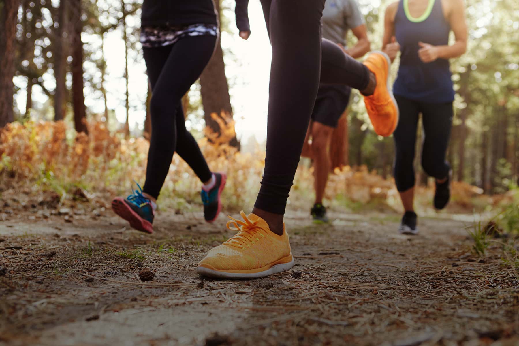 Groupe de coureurs dans un sentier en forêt