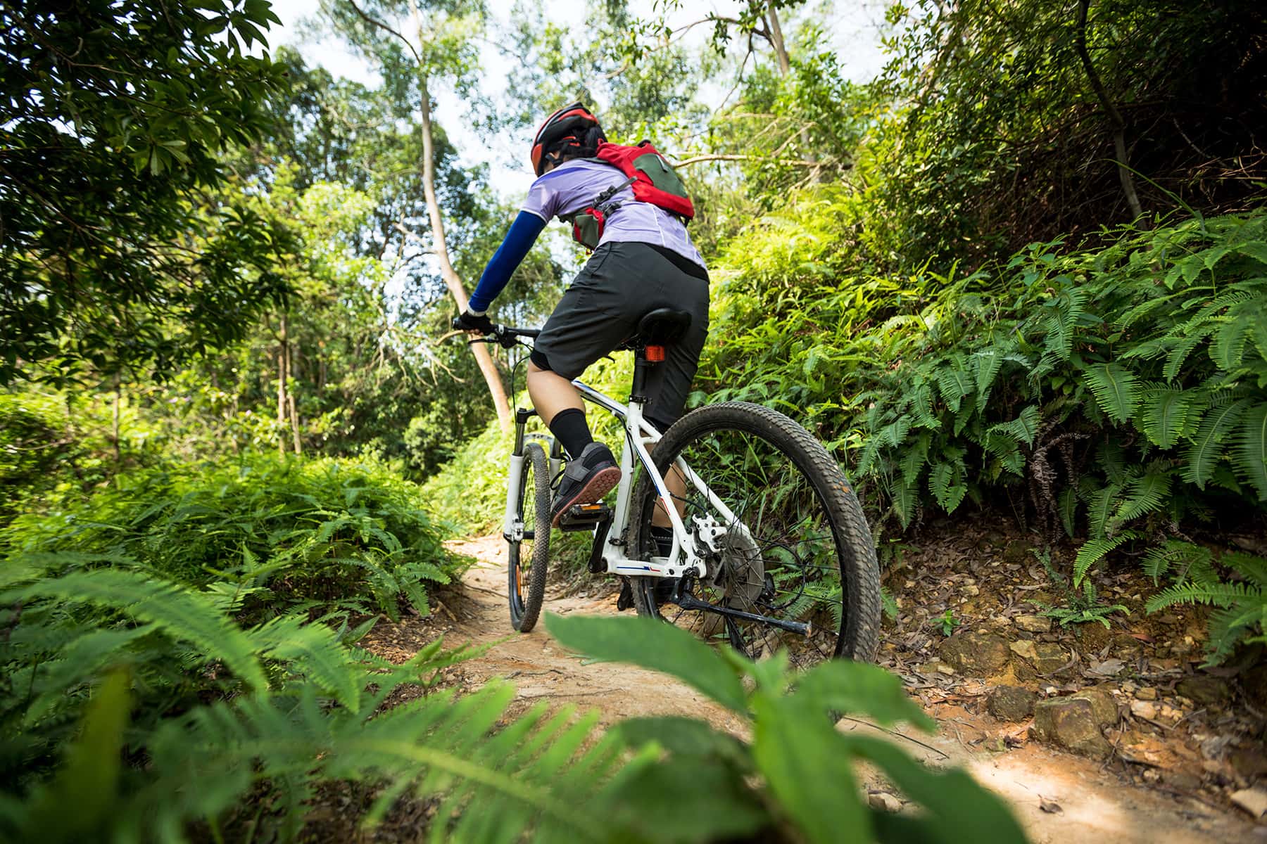Homme sur un vélo de montagne dans un sentier de vélo.