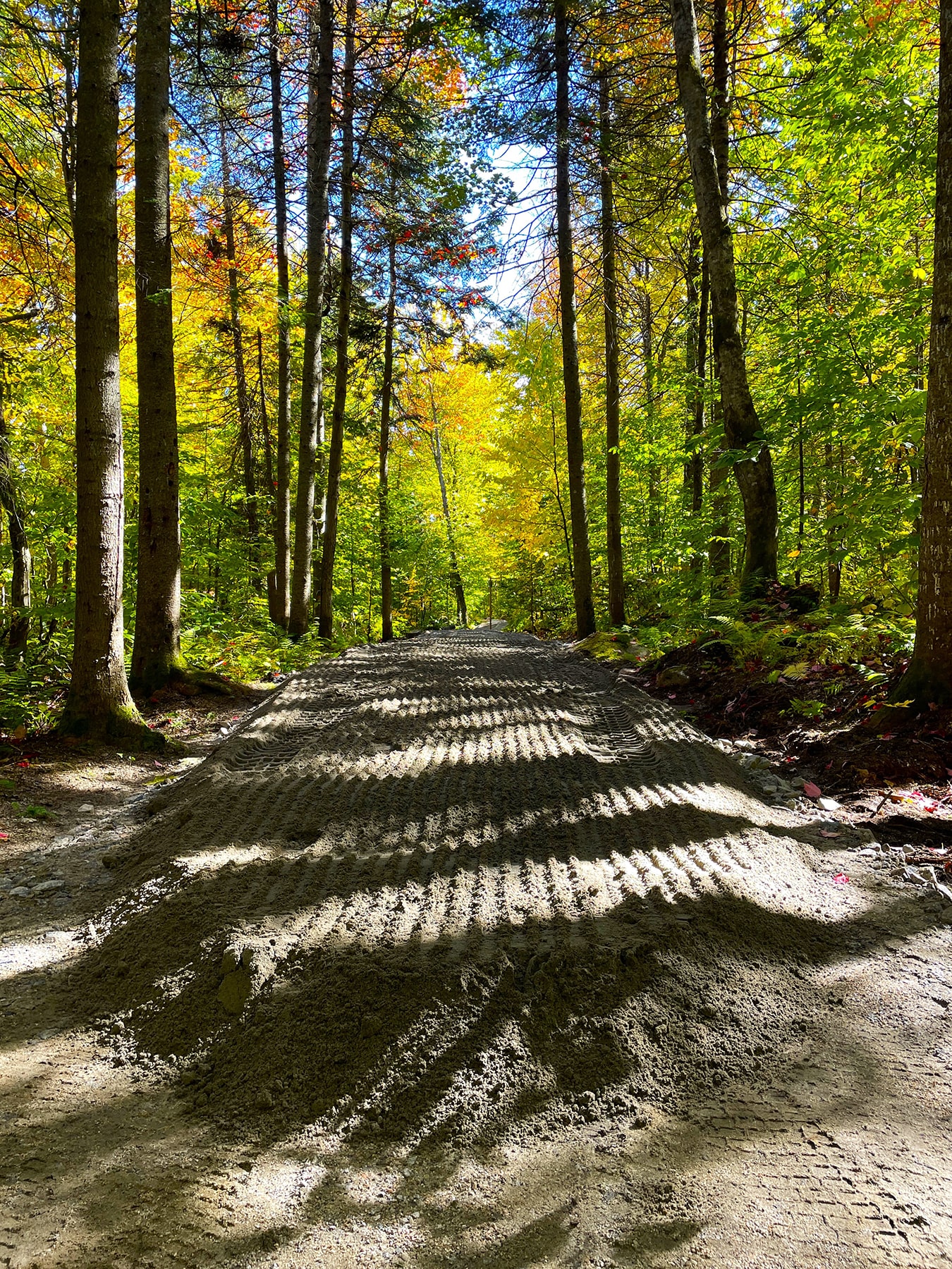 Sentier de marche