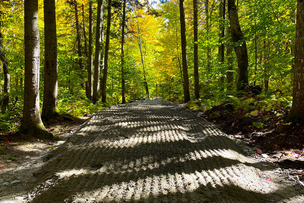 Accueil-Actions-Sentiers_V2-min